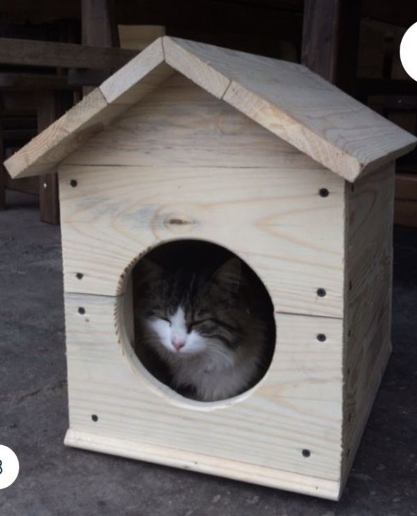 Будка ДЛЯ КОТІВ мала 50*35