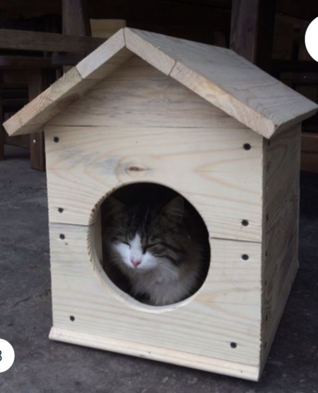 Будка ДЛЯ КОТІВ мала 50*35
