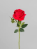 Квітка Троянда (гілочка),червоний,76см