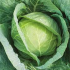 Капуста Іюньська 5г
