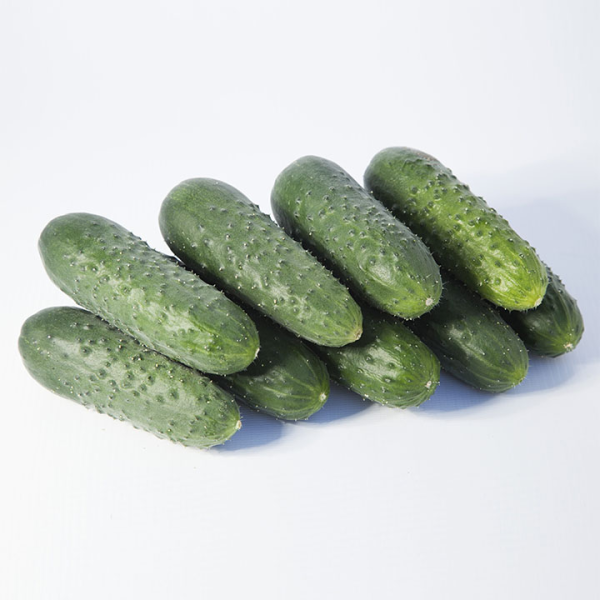 Огірок Кроха F1 1г (Ф)