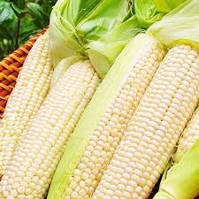 Кукурудза цукрова Солодке диво 20г