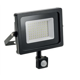 Прожектор ECOSTRUM 10W 6500K IP65 (600lm) з дет.руху