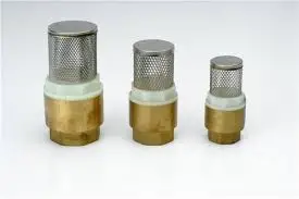 Сітка-фільтр на зворотній клапан 1/2"